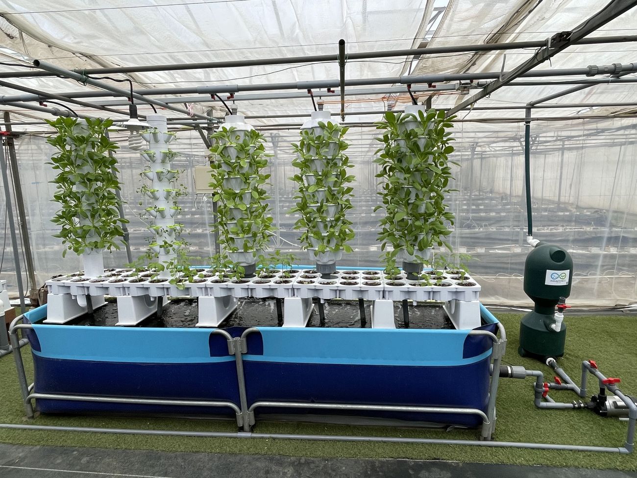 Vertical grow towers standing over a deep water tank