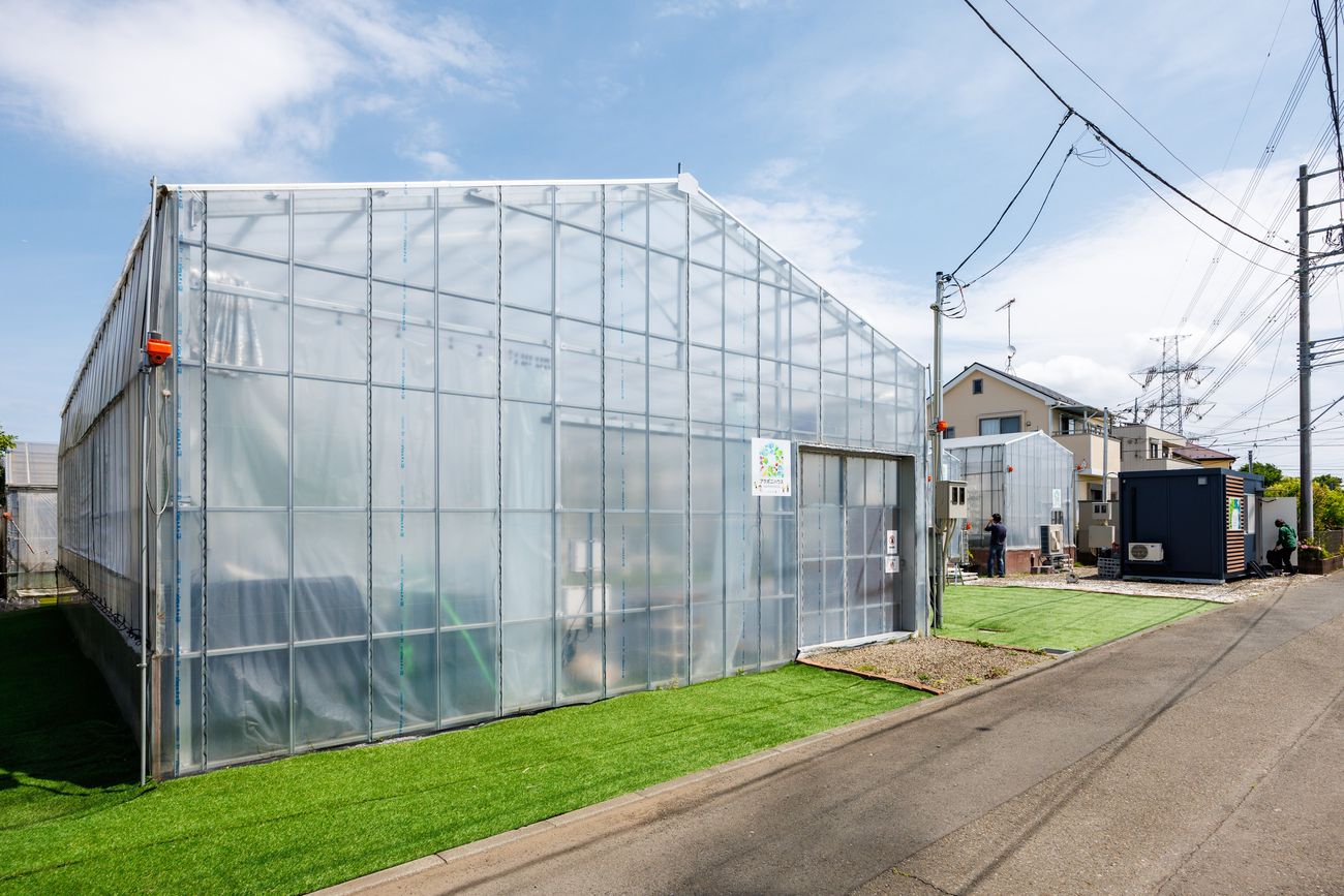 Greenhouse exterior seen from the road
