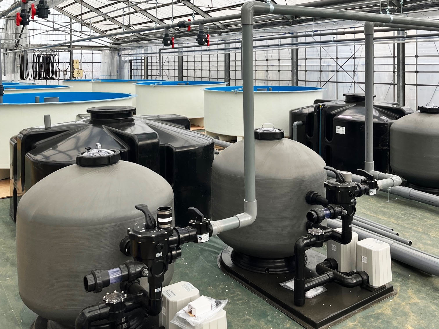 Filtration vessels and fish tanks plumbed together inside a greenhouse