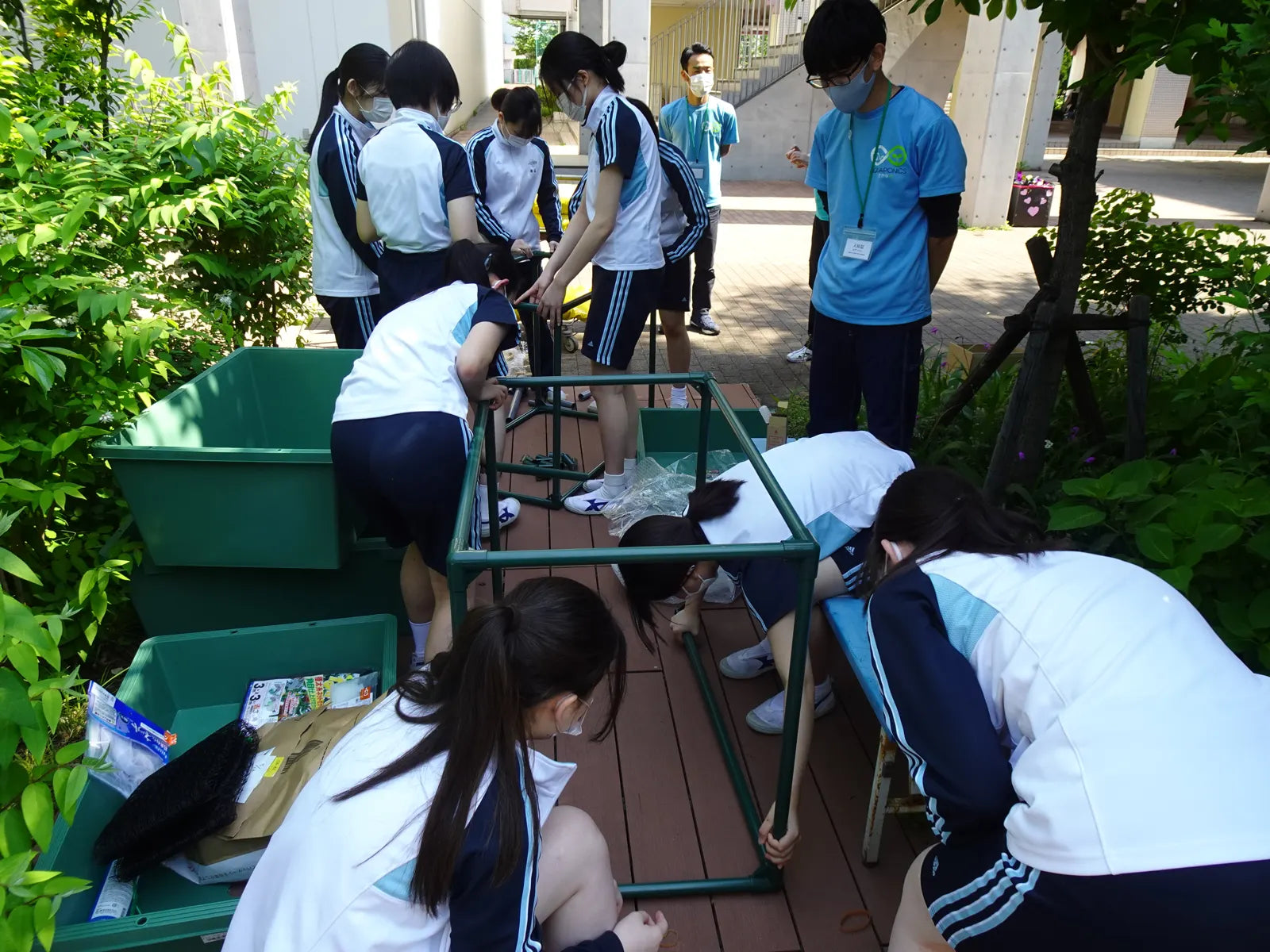 Students assembling the frame of an aquaponic system on the terrace