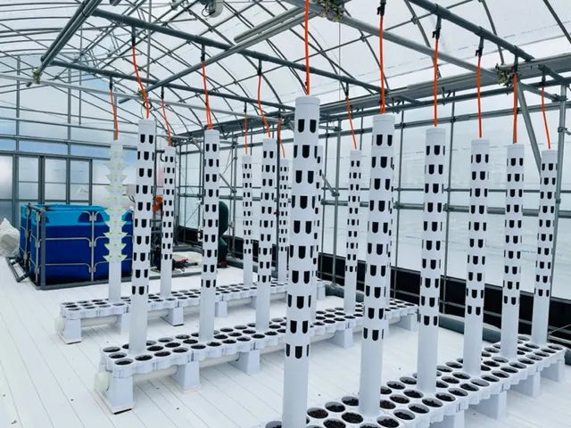Daiwa Sanso Kogyo, an Aquponi aquaponic farm in Japan