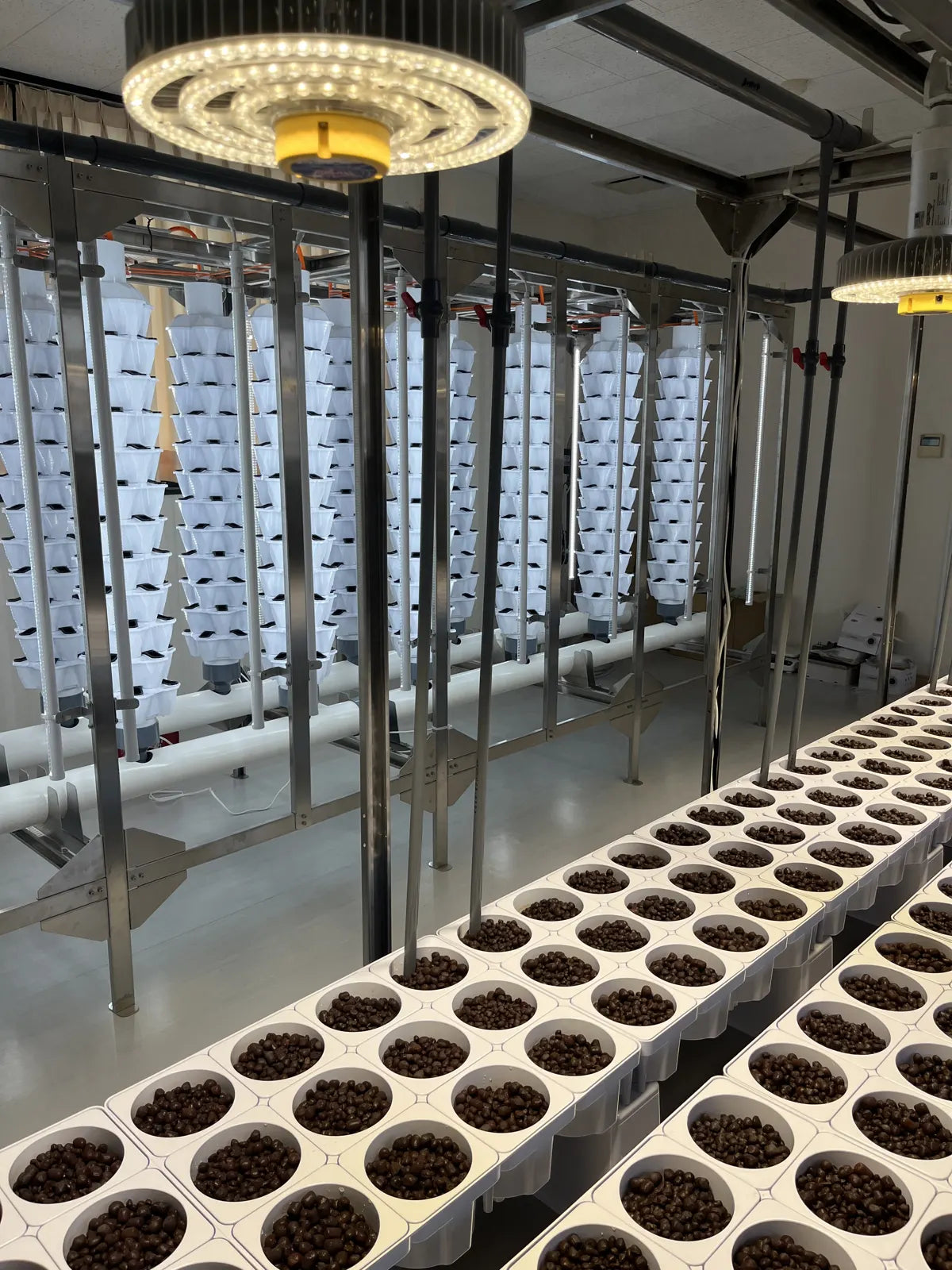 Gakuseikai, an Aquponi aquaponic farm in Japan