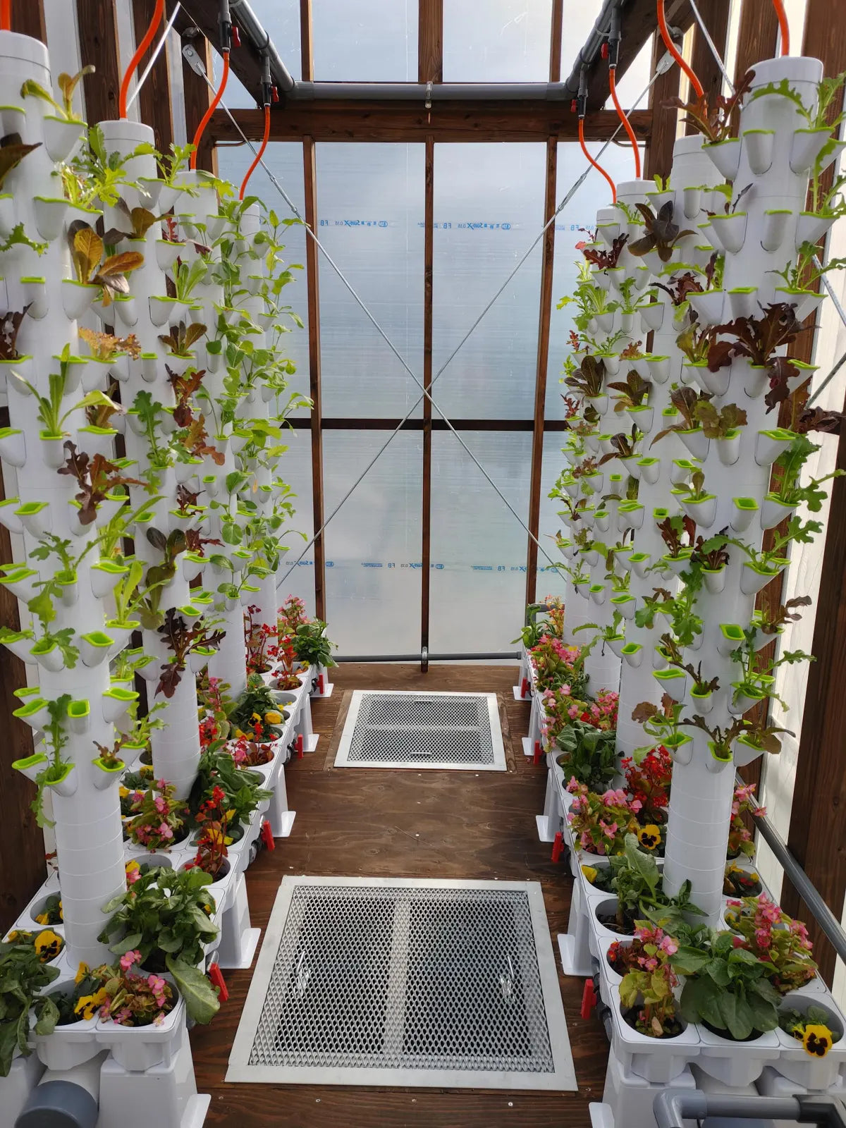 GM7, an Aquponi aquaponic farm in Japan