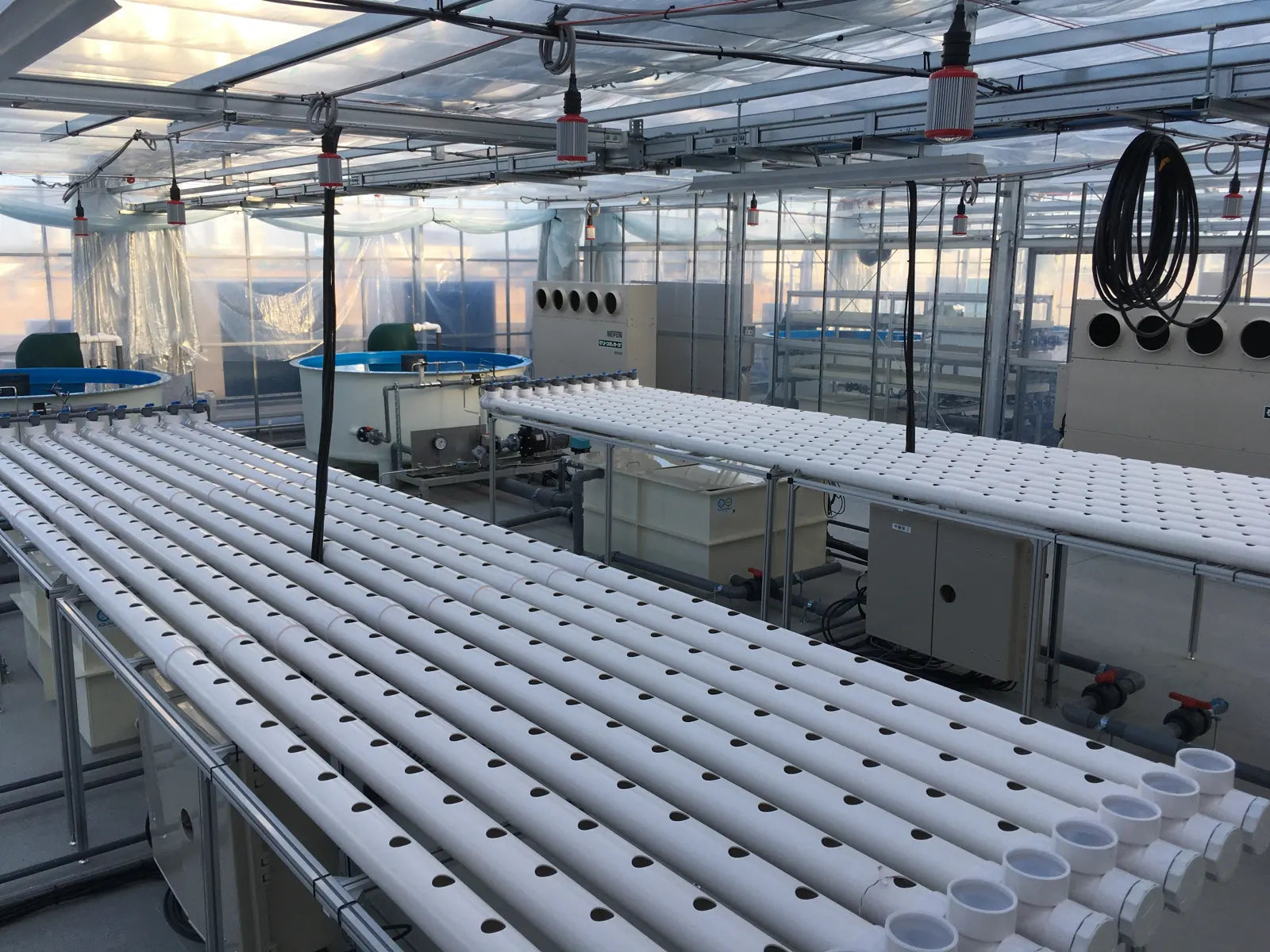 IHI, an Aquponi aquaponic farm in Japan