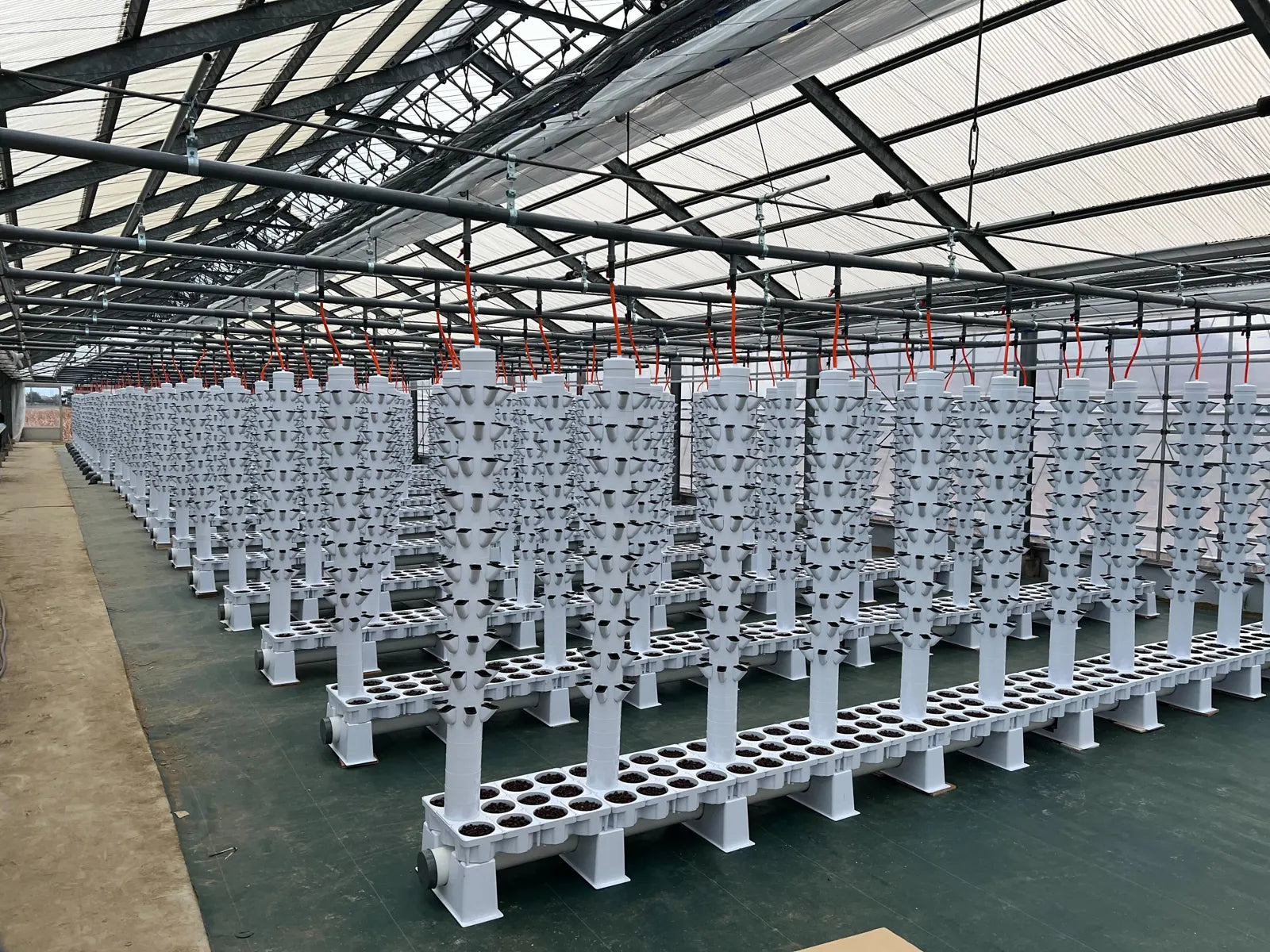 Tsunagu Farm, an Aquponi aquaponic farm in Japan