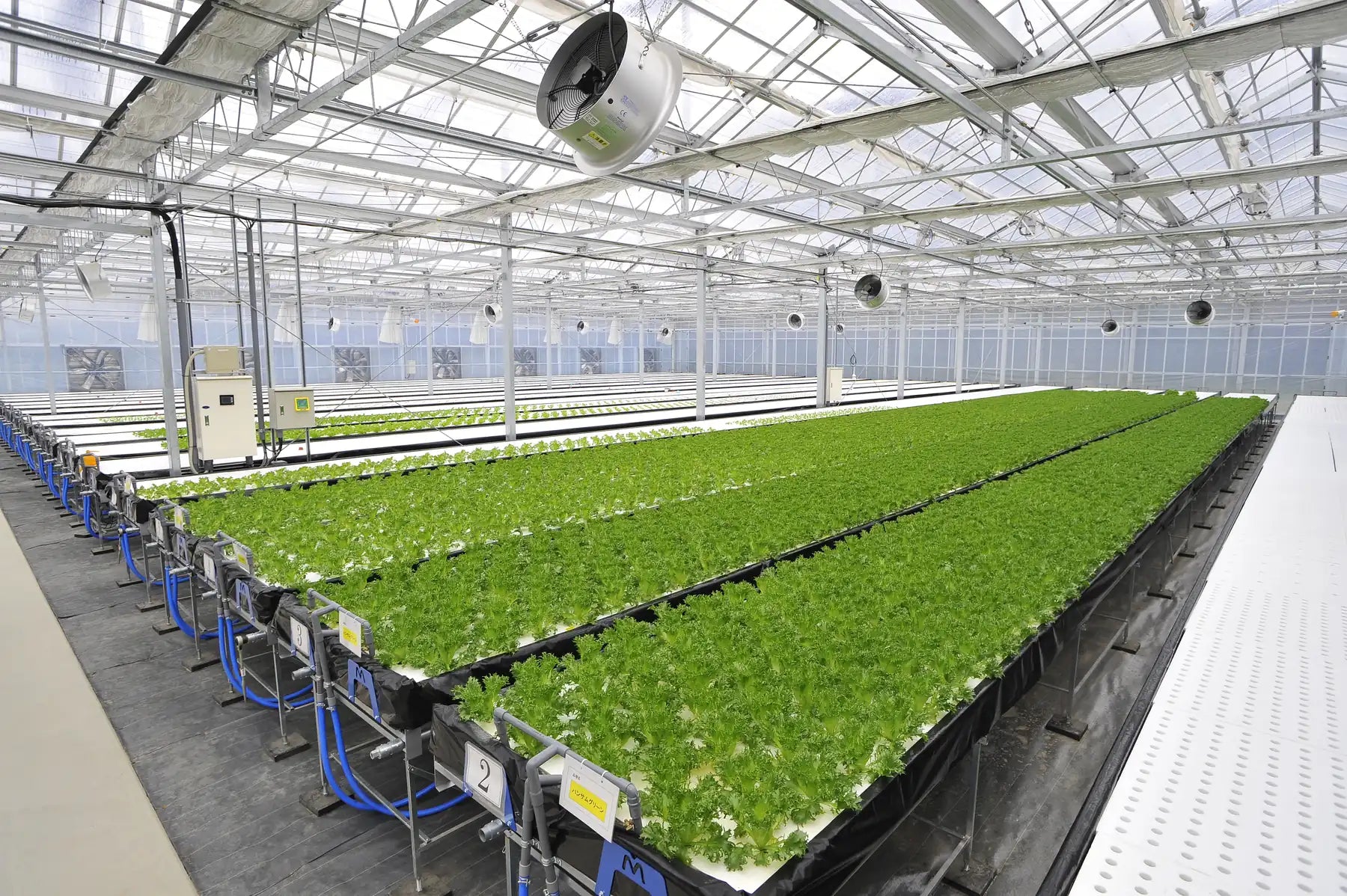 Greenhouse interior with vertical grow towers and water treatment tanks